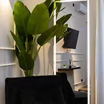 Elegant Roma